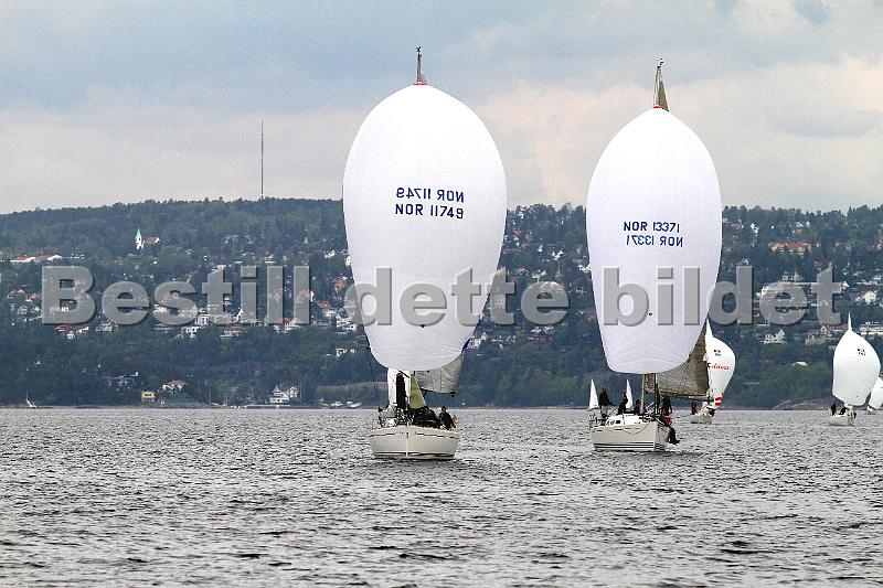 Bundefjorden2012 118.jpg